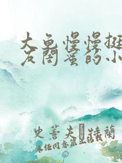 大龟慢慢挺进女友闺蜜的小说