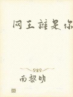 网王谁是你老婆
