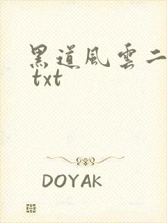 黑道风云二十年 txt