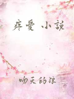 疼爱 小说
