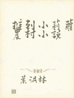 推到小莉萝稚嫩农村小说