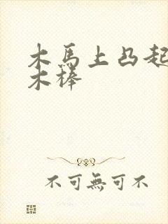 木马上凸起电动木棒