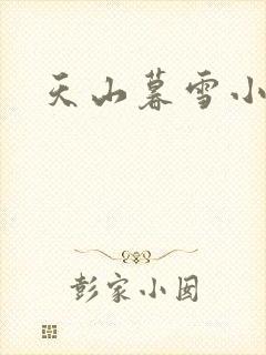 天山暮雪小说