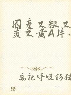 国产又粗又猛又爽又黄A片小说