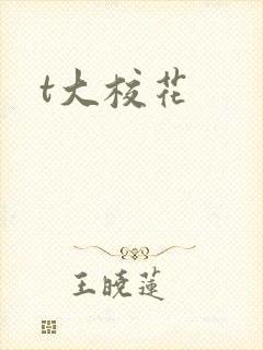t大校花