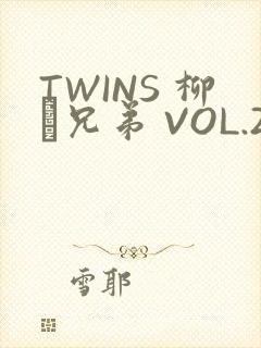 TWINS 柳澤兄弟 VOL.2