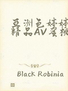 亚洲色婷婷久久精品AV蜜桃小说