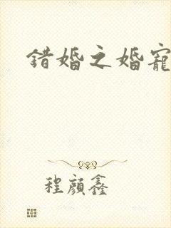 错婚之婚宠一世