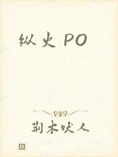 纵火 PO