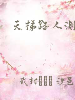 天梯路人测试器