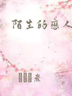 陌生的恋人小说