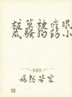 校草被催眠洗脑成骚狗的小说