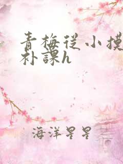 青梅从小摸到大补课h