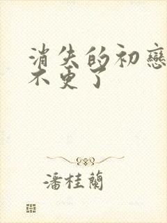 消失的初恋为啥不更了