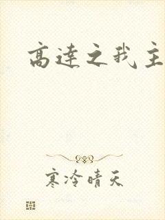 高达之我主沉浮