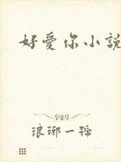 好爱你小说