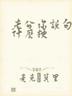 老公你说句话啊什么梗