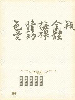 色情梅金瓶2之爱的裸体