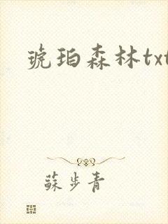 琥珀森林txt