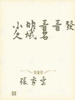 小明看看发布永久域名