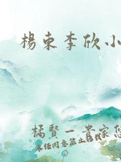 杨东李欣小说