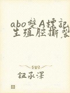 abo双A标记生殖腔撕裂