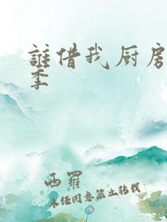 谁借我厨房第三季