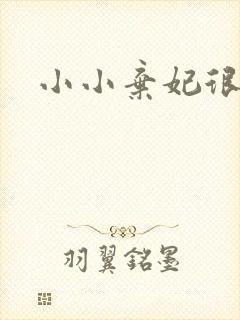 小小弃妃很倾城