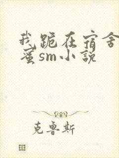 我跪在宿舍被闺蜜sm小说