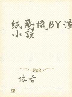 纸飞机BY潭石小说