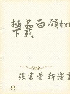 极品白领txt下载