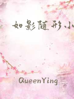 如影随形小说