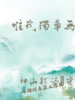 唯我独尊无弹窗