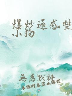 爆炒通感双胞胎小狗