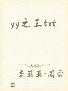 yy之王txt