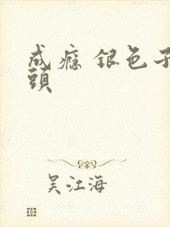 成瘾 银色子弹头