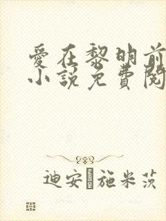 爱在黎明前降落小说免费阅读