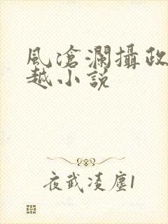 风沧澜摄政王穿越小说