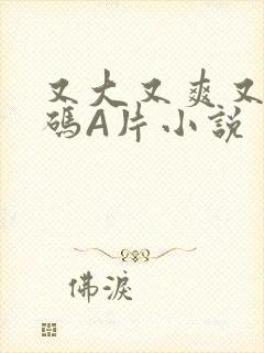 又大又爽又黄无码A片小说