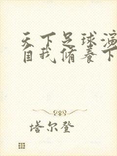 天下足球演员的自我修养下