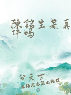 陈铭生是真实事件吗