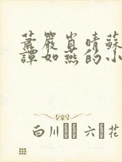 萧严肖晴苏雨溪谭如燕的小说