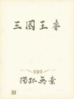 三国王睿