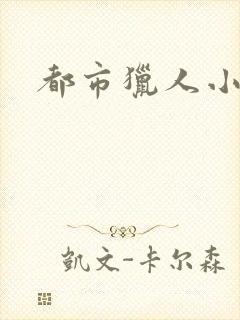 都市猎人小说