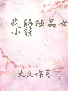 我的极品女老师小说