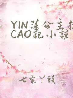 YIN荡公主挨CAO记小说