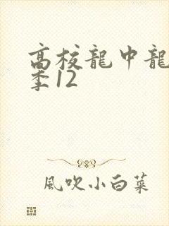 高校龙中龙第二季12