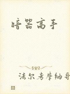 暗器高手