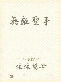 无敌圣手