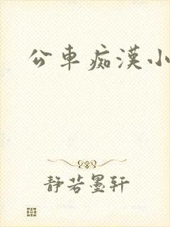 公车痴汉小说